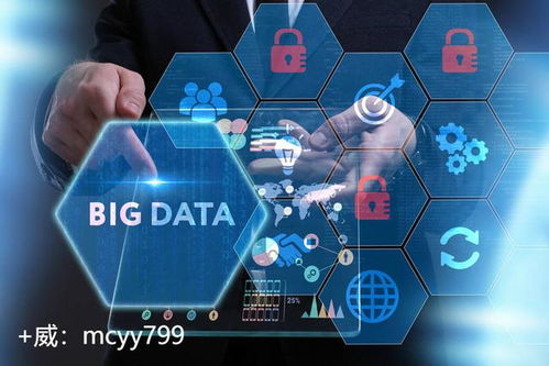 5G技术如何重塑大数据时代 你需要了解的核心概念与服务